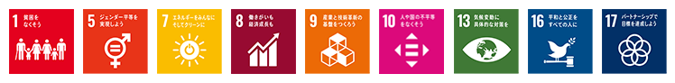 SDGsの17の目標のうち、9つの目標（1、5、7、8、9、10、13、16、17）への貢献につながると考えております。