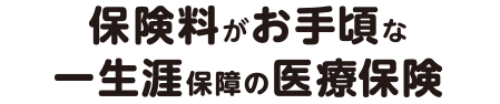 保険料がお手頃な一生涯保障の医療保険