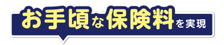 お手頃な保険料を実現