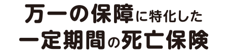 万一の保障に特化した一定期間の死亡保険