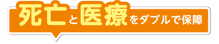 死亡と医療をダブルで保障