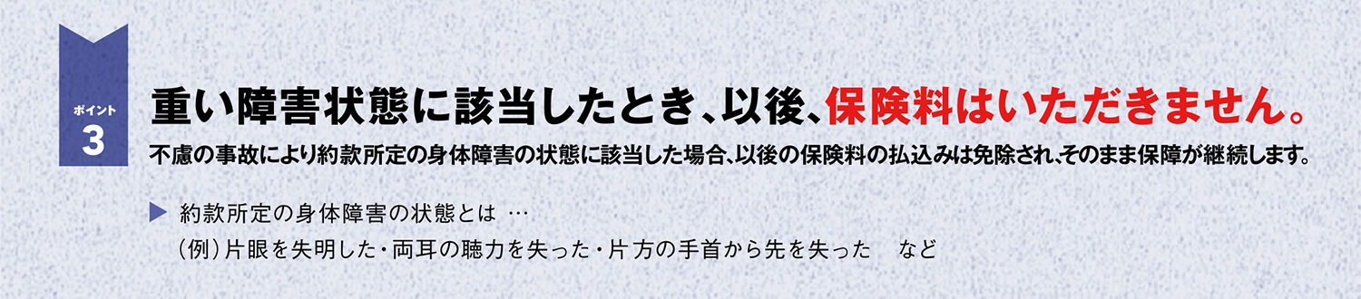 重い障害状態に該当したとき、以後、保険料はいただきません。