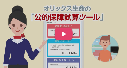 公的保障試算ツール 動画サムネイル