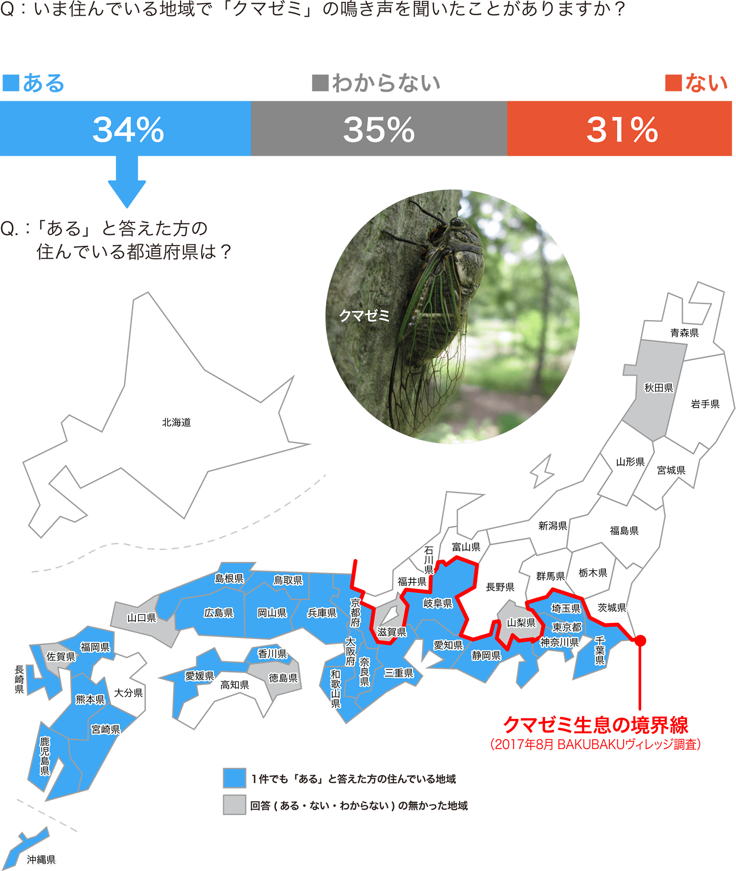 シマウマ調査結果 クマゼミ オリックス生命保険株式会社