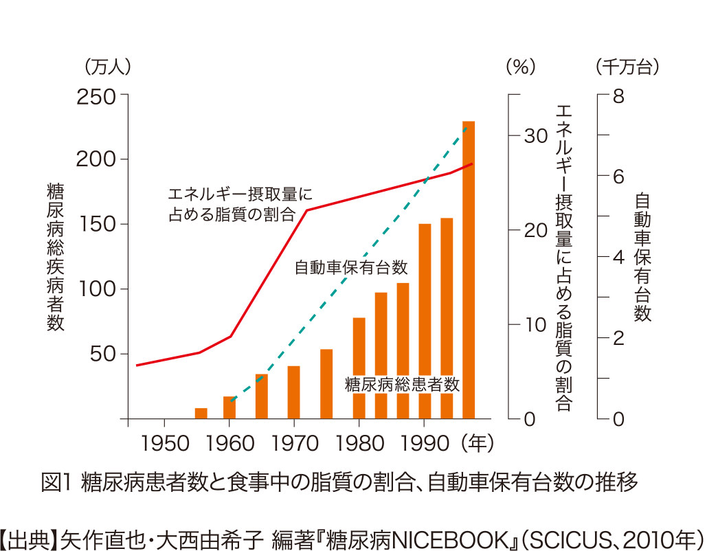 図1 糖尿病患者数と食事中の脂質の割合、自動車保有台数の推移