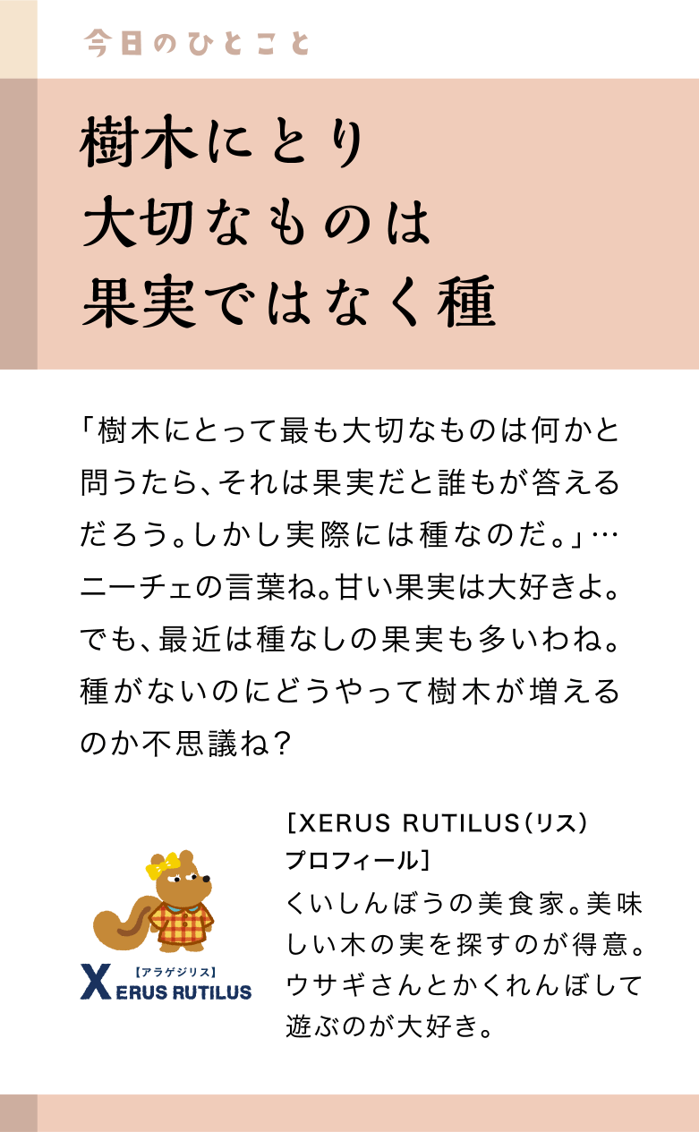 今日のひとこと28日