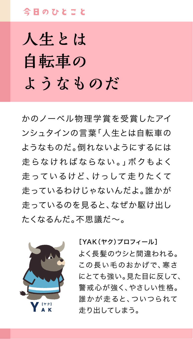 今日のひとこと29日