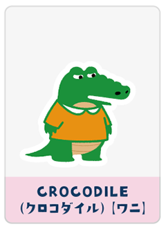 CROCODILE（ワニ）
