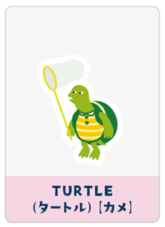 TURTLE（カメ）