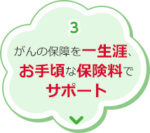 3.がんの保障を一生涯、お手頃な保険料でサポート