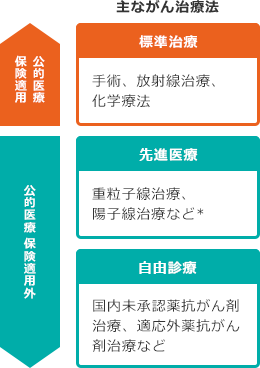 主ながん治療法 公的医療 保険適用/[標準治療]手術、放射線治療、化学療法 公的医療 保険適用外/[先進医療]重粒子線治療、陽子線治療など* [自由診療]国内未承認薬抗がん剤治療、適応外薬抗がん剤治療など