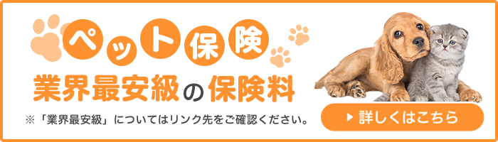 ペット保険 業界最安級の保険料 ※「業界最安級」についてはリンク先をご確認ください。 詳しくはこちら 