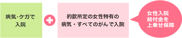 病気・ケガで入院＋約款所定の女性特有の病気・すべてのがんで入院　女性入院給付金を上乗せ保障