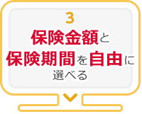 3.保険金額と保険期間を自由に選べる