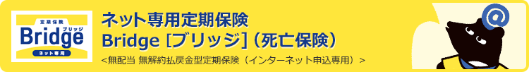 ネット専用定期保険 Bridge [ブリッジ] (死亡保険)〈無配当 無解約払戻金型定期保険(インターネット申込専用)〉