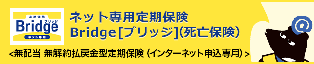 ネット専用定期保険 Bridge [ブリッジ] (死亡保険)〈無配当 無解約払戻金型定期保険(インターネット申込専用)〉