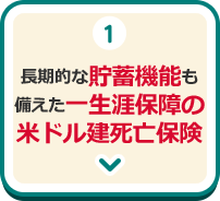 1.長期的な貯蓄機能も備えた一生涯保障の米ドル建死亡保険