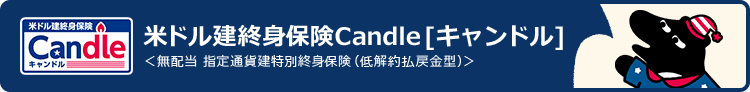 米ドル建終身保険 Candle [キャンドル]〈無配当 指定通貨特別終身保険(低解約払戻金型)〉