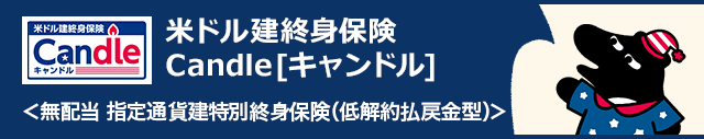 米ドル建終身保険 Candle [キャンドル]〈無配当 指定通貨特別終身保険(低解約払戻金型)〉