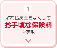 1.解約払戻金をなくしてお手頃な保険料を実現