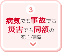 3.病気でも事故でも災害でも同額の死亡保障