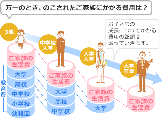 万一のとき、のこされたご家族にかかる費用は？ お子さまの成長につれてかかる費用の総額は減っていきます。3歳：ご家族の生活費、教育費(幼稚園、小学校、中学校、高校、大学)。 中学校入学：ご家族の生活費、教育費(中学校、高校、大学)。 大学入学：ご家族の生活費、教育費(大学)。 大学卒業：ご家族の生活費。