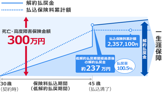 終身 保険 と は