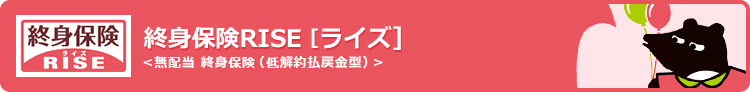 終身保険 RISE [ライズ]〈無配当 終身保険(低解約払戻金型)〉