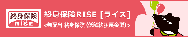 終身保険 RISE [ライズ]〈無配当 終身保険(低解約払戻金型)〉