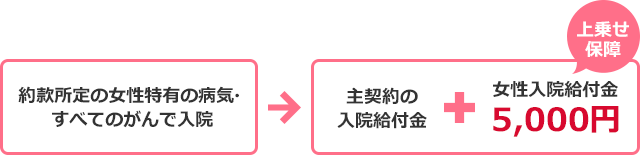 約款所定の女性特有の病気・すべてのがんで入院 → 主契約+女性入院給付金5,000円上乗せ保障