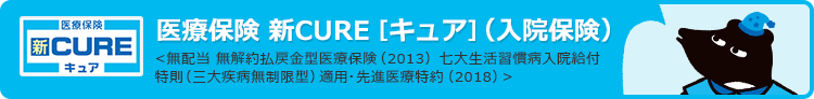 医療保険 新CURE [キュア] (入院保険)〈無配当 無解約払戻金型医療保険(2013)七大生活習慣病入院給付特則(三大疾病無制限型)適用・先進医療特約(2018)〉