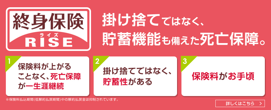 終身保険rise ライズ オリックス生命保険株式会社