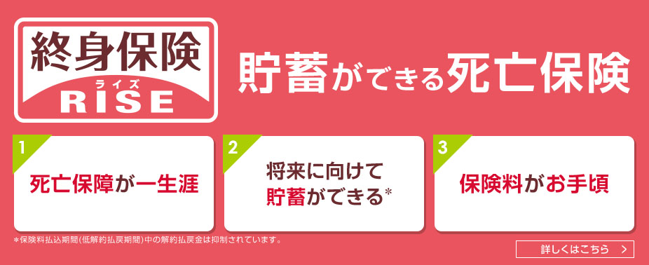 終身保険 RISE ライズ 掛け捨てではなく、貯蓄機能も備えた死亡保障。
