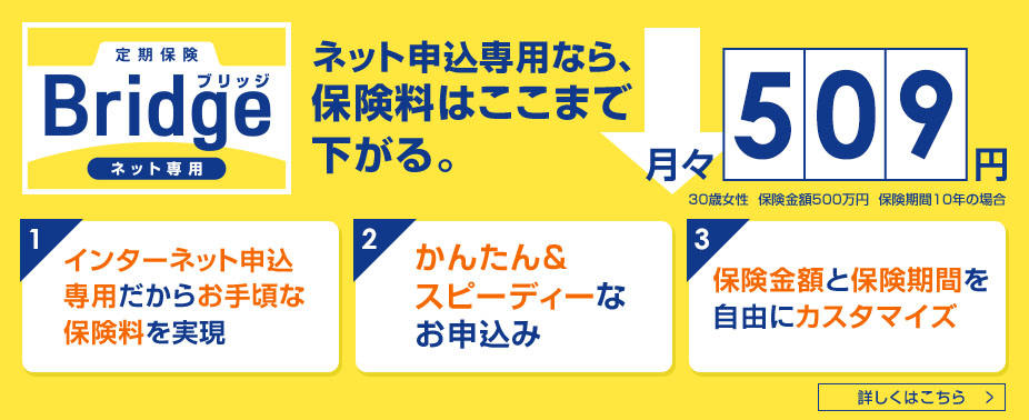 定期保険 Bridge ブリッジ インターネット専用 30歳女性月々509円　保険金額500万円　保険期間・保険料払込期間10年