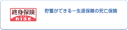 終身保険 RISE ライズ 貯蓄機能も備えた一生涯保障の死亡保険