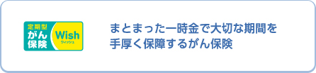 定期型 がん保険 ウィッシュ Wish まとまった一時金で大切な期間を手厚く保障するがん保険