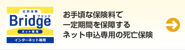 定期保険 Bridge インターネット専用 一定期間の死亡保障をお手頃な保険料で準備できる掛け捨て型の死亡保険。