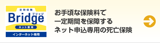 定期保険 Bridge インターネット専用 お手頃な保険料で一定期間を保障するネット申込専用の死亡保険
