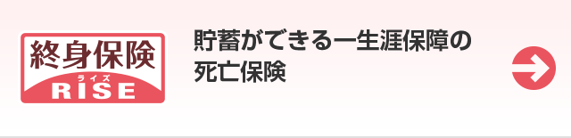 終身保険 RISE 貯蓄機能も備えた一生涯保障の死亡保険。教育資金の準備にも活用できる。