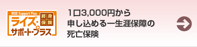 終身保険 RISE Support Plus ライズ・サポート・プラス 持病や入院・手術の経験がある方も入りやすい一生涯保障の死亡保険。