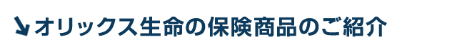 保険商品ラインアップ