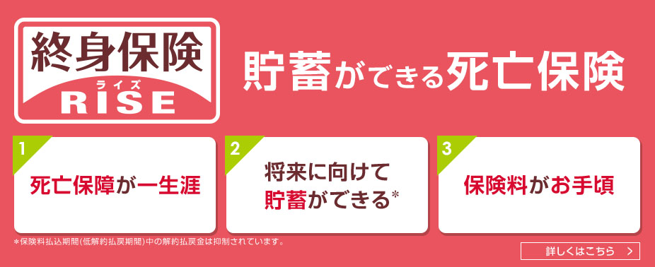 終身保険 RISE ライズ 貯蓄ができる死亡保険