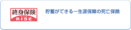 終身保険 RISE ライズ 貯蓄機能も備えた一生涯保障の死亡保険