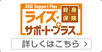 ライズ・サポート・プラス