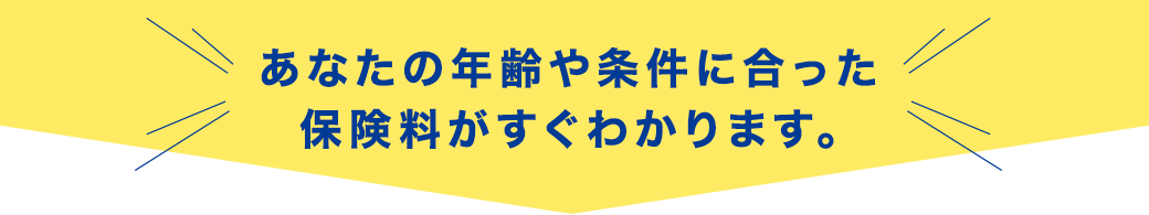 あなたの年齢や条件に合った保険料がすぐわかります。