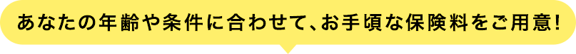 あなたの年齢や条件に合わせて、お手頃な保険料をご用意！