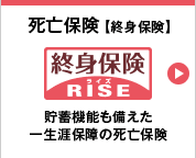 死亡保険【終身保険】 RISE