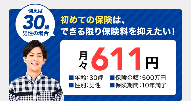 保険料 30歳