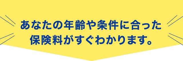 あなたの年齢や条件に合った保険料がすぐわかります。
