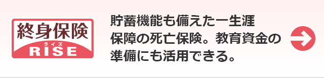 ライズ